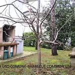 別荘 Canarino リニャーノ・サッビアドーロ